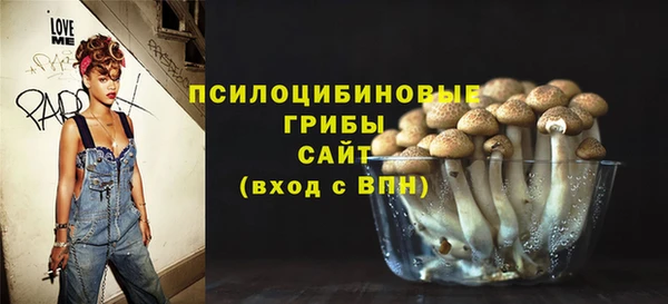 apvp Навашино