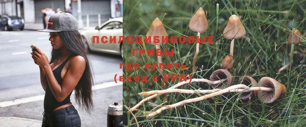 амф Наволоки