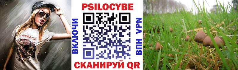 Галлюциногенные грибы Psilocybe  Купить  Тобольск 